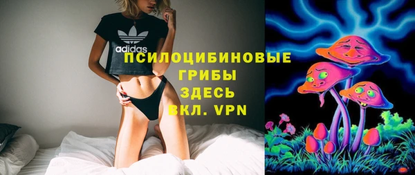 a pvp Алексин